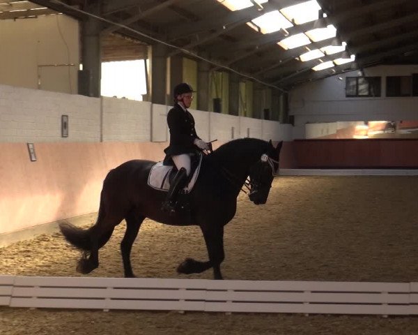 Reitturnier Ratingen-Hösel - Gut Gützenhof 2018
