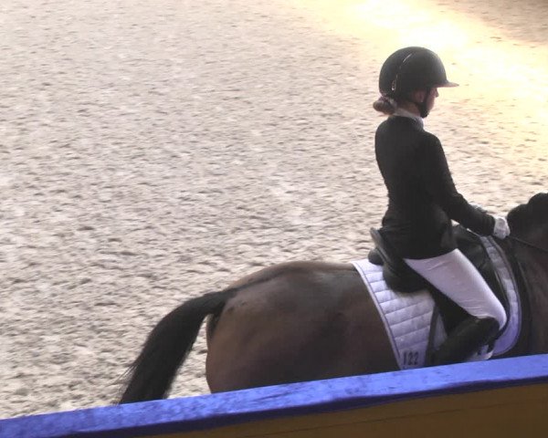 Reitturnier Pforzheim 2018