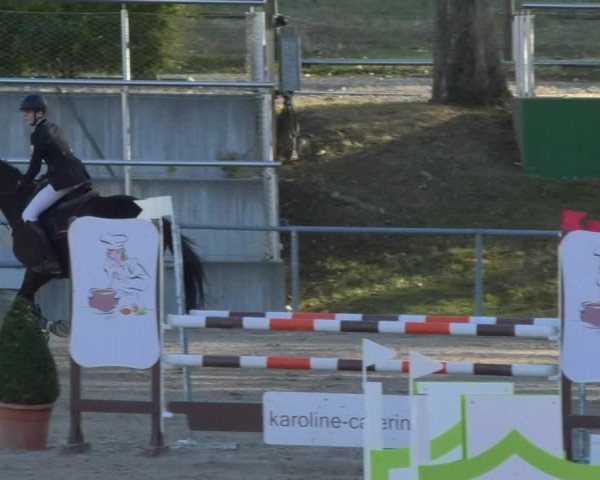 Reitturnier Pforzheim 2018