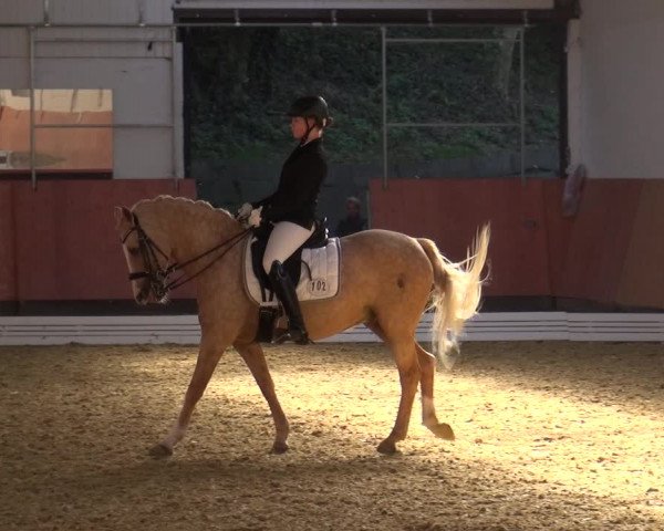 Reitturnier Ratingen-Hösel - Gut Gützenhof 2018