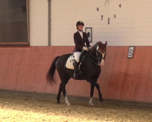 Reitturnier Ratingen-Hösel - Gut Gützenhof 2018