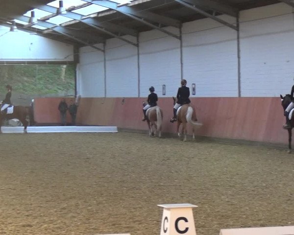 Reitturnier Ratingen-Hösel - Gut Gützenhof 2018
