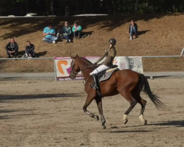 Reitturnier Pforzheim 2018