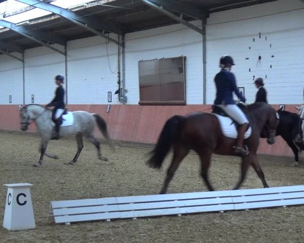 Reitturnier Ratingen-Hösel - Gut Gützenhof 2018
