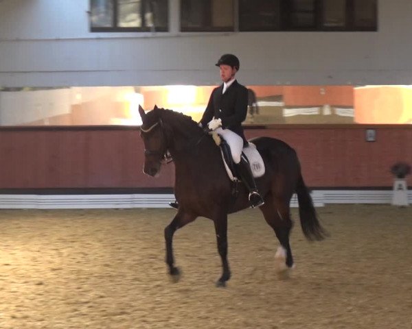 Reitturnier Ratingen-Hösel - Gut Gützenhof 2018