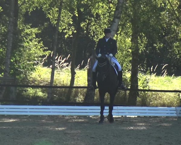 Reitturnier Ratingen-Hösel - Gut Gützenhof 2018