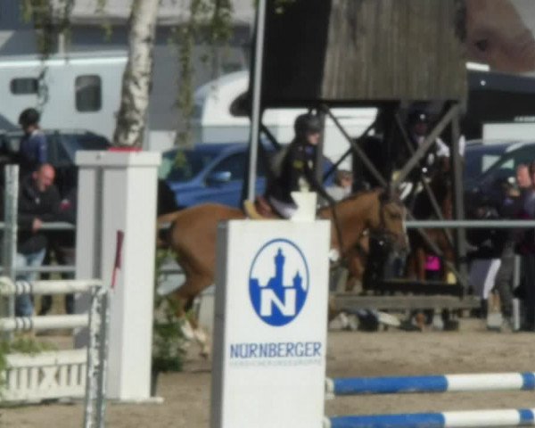 Reitturnier Pforzheim 2018