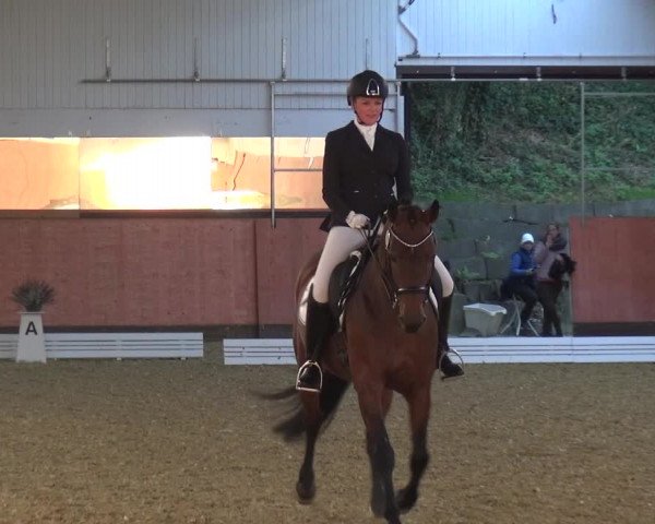 Reitturnier Ratingen-Hösel - Gut Gützenhof 2018
