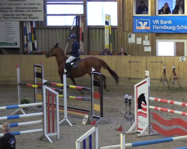 Reitturnier Sörup 2018