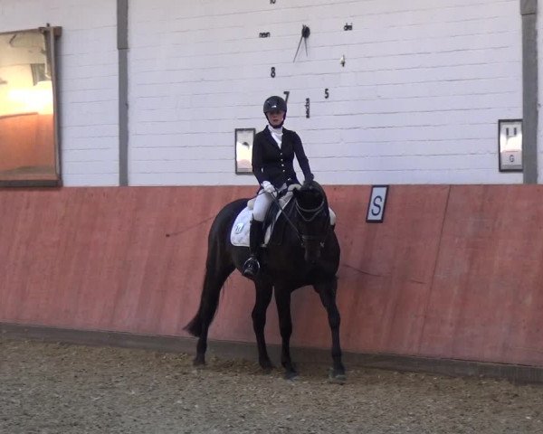 Reitturnier Ratingen-Hösel - Gut Gützenhof 2018