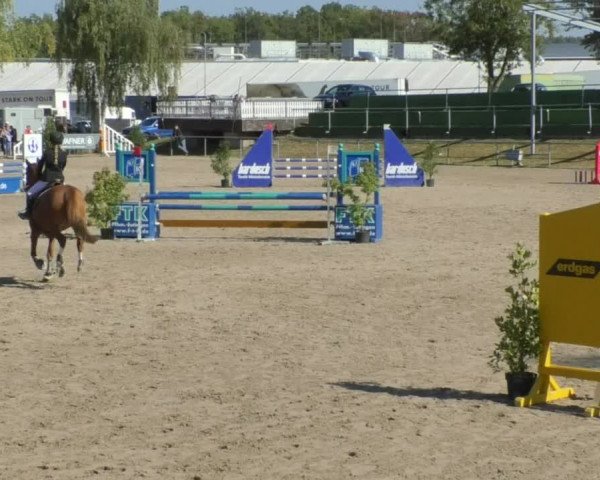 Reitturnier Pforzheim 2018