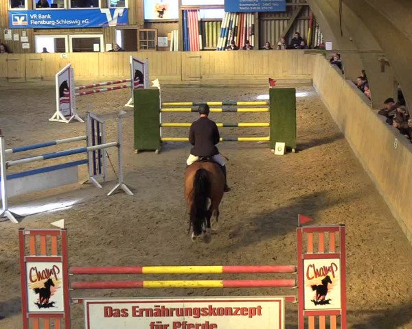 Reitturnier Sörup 2018
