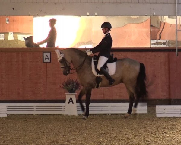 Reitturnier Ratingen-Hösel - Gut Gützenhof 2018