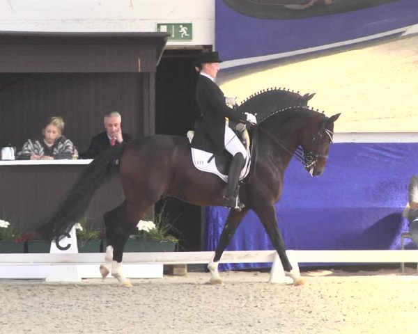 Reitturnier Pforzheim 2018