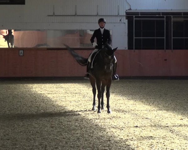 Reitturnier Ratingen-Hösel - Gut Gützenhof 2018