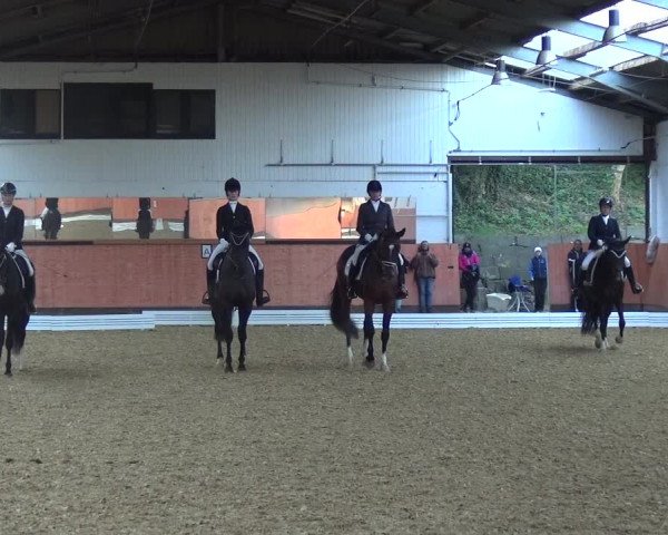 Reitturnier Ratingen-Hösel - Gut Gützenhof 2018