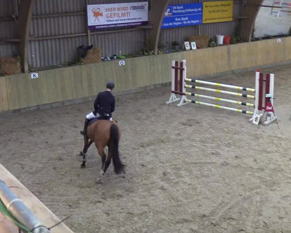Reitturnier Sörup 2018