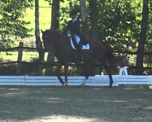 Reitturnier Ratingen-Hösel - Gut Gützenhof 2018