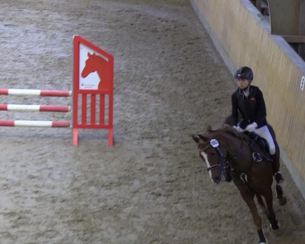 Reitturnier Sörup 2018