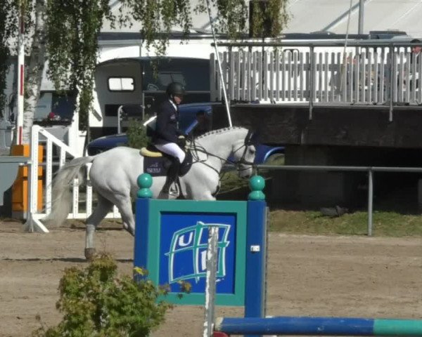 Reitturnier Pforzheim 2018