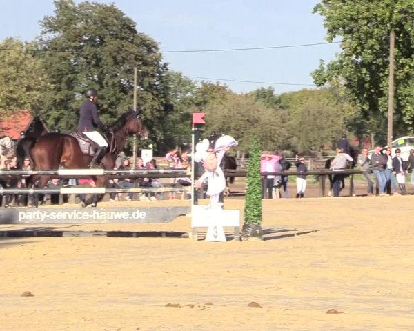 Reitturnier Lüdinghausen-Westrup 2018