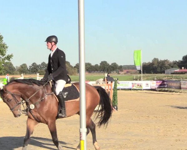 Reitturnier Lüdinghausen-Westrup 2018