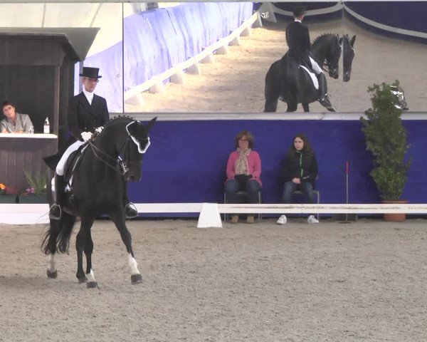 Reitturnier Pforzheim 2018