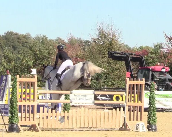 Reitturnier Lüdinghausen-Westrup 2018