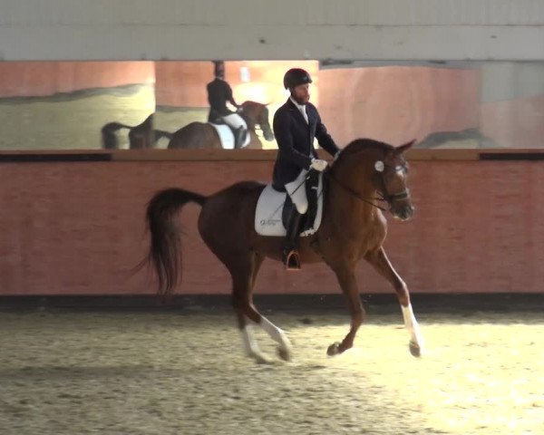 Reitturnier Ratingen-Hösel - Gut Gützenhof 2018