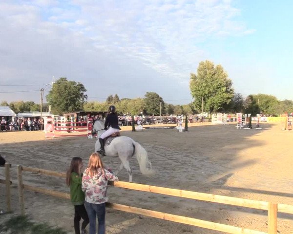 Reitturnier Lüdinghausen-Westrup 2018