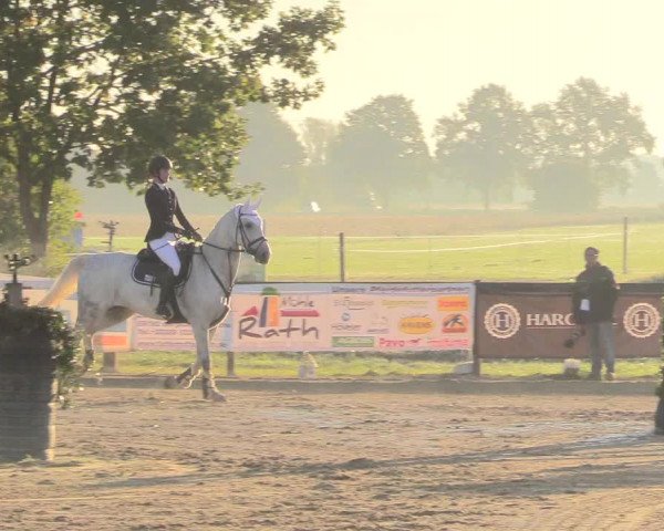 Reitturnier Lüdinghausen-Westrup 2018