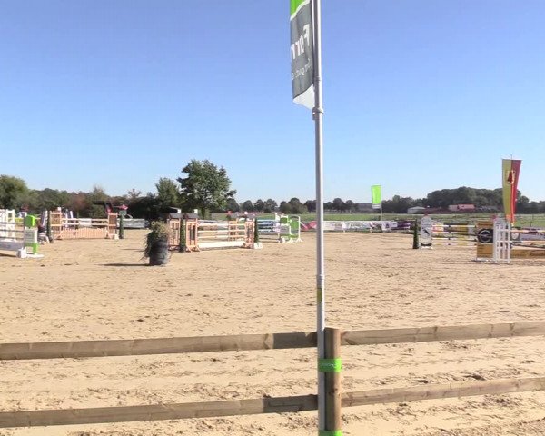 Reitturnier Lüdinghausen-Westrup 2018