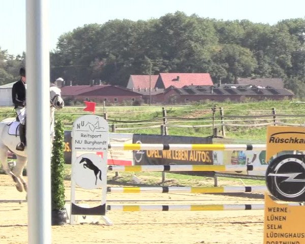 Reitturnier Lüdinghausen-Westrup 2018