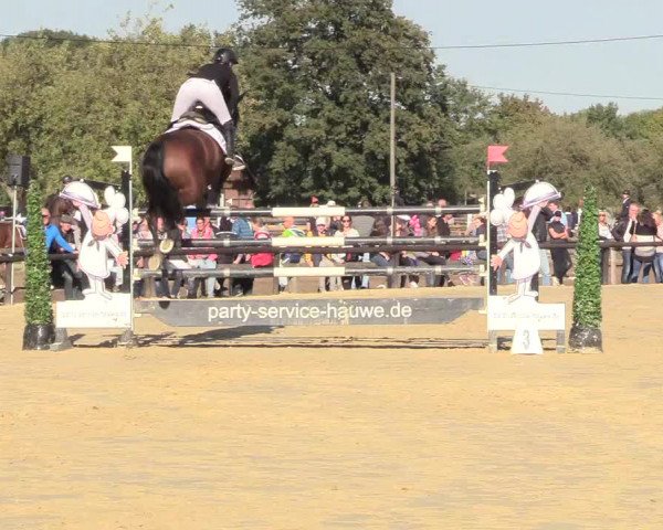Reitturnier Lüdinghausen-Westrup 2018