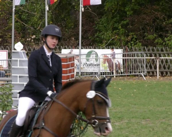 Reitturnier Wernigerode 2018
