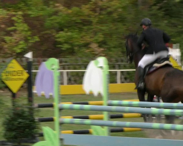 Reitturnier Wernigerode 2018