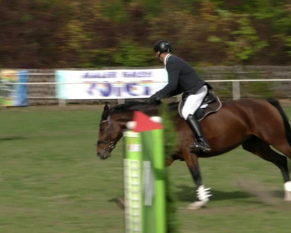 Reitturnier Wernigerode 2018
