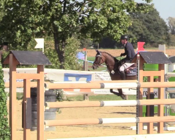Reitturnier Lüdinghausen-Westrup 2018