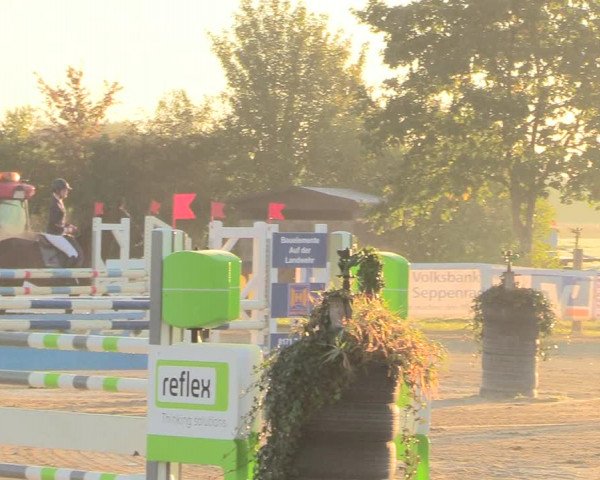 Reitturnier Lüdinghausen-Westrup 2018