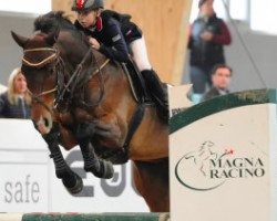 jumper Costa Brava (Hungarian Warmblood, 2008, from Colonado)