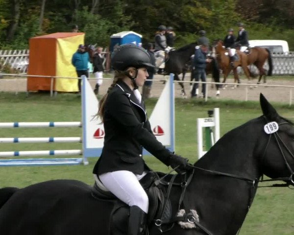 Reitturnier Wernigerode 2018