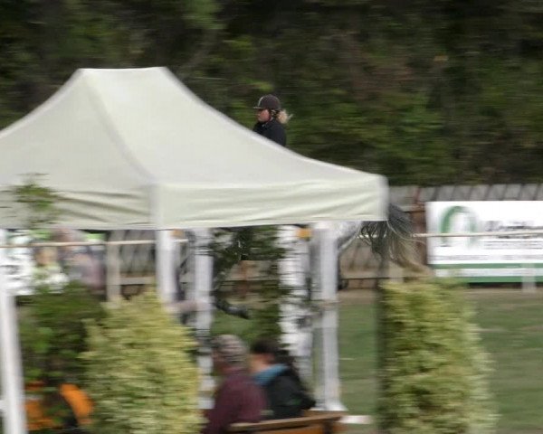 Reitturnier Wernigerode 2018