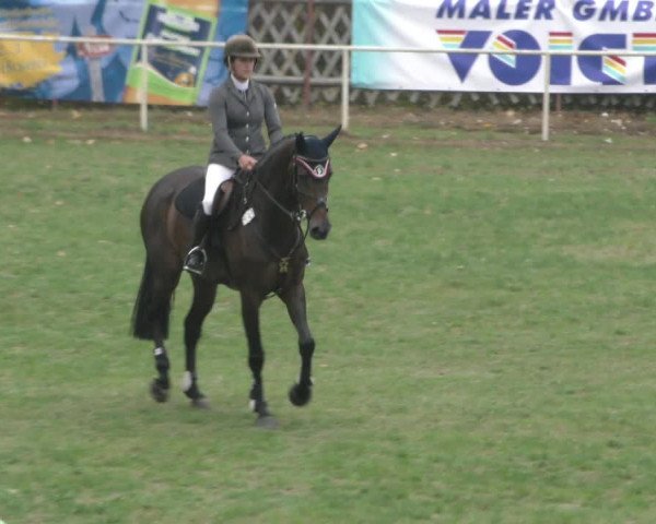Reitturnier Wernigerode 2018