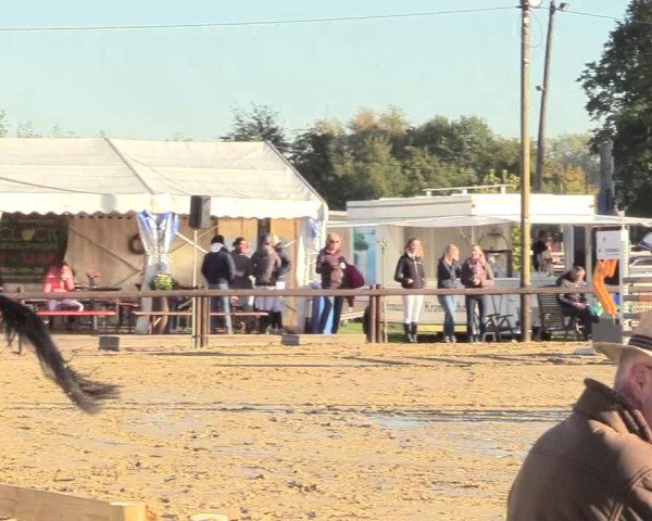 Reitturnier Lüdinghausen-Westrup 2018