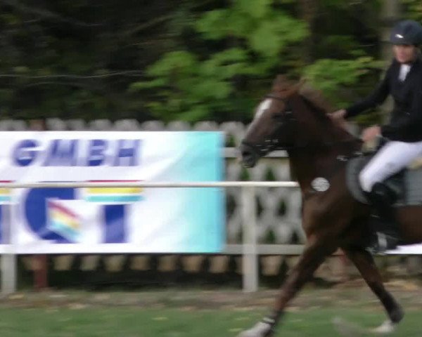 Reitturnier Wernigerode 2018