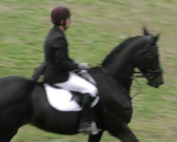 Reitturnier Wernigerode 2018