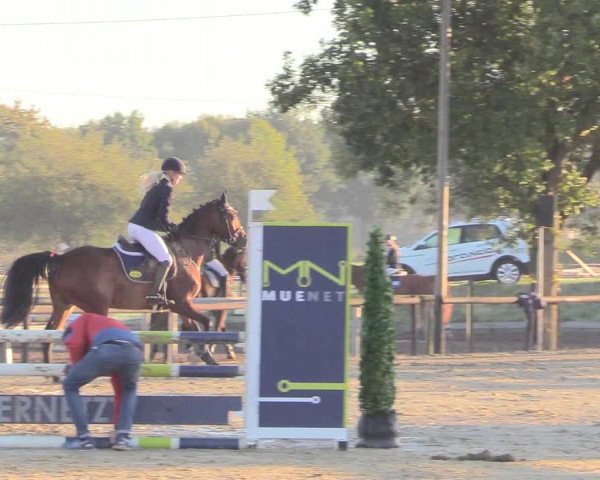 Reitturnier Lüdinghausen-Westrup 2018