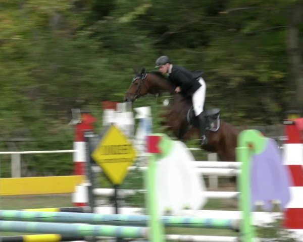 Reitturnier Wernigerode 2018