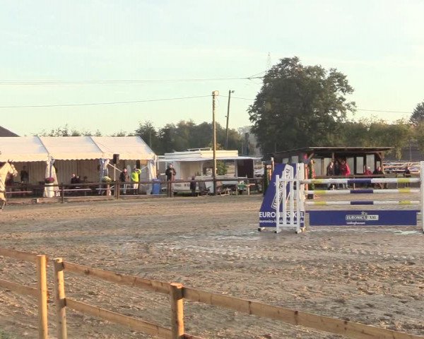 Reitturnier Lüdinghausen-Westrup 2018
