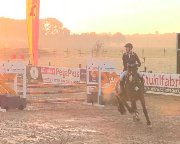 Reitturnier Lüdinghausen-Westrup 2018